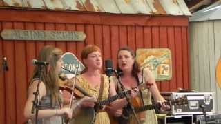 The Locust Honey Stringband at Spring Skunk 2013 -- #9 Sitting on Top of the World