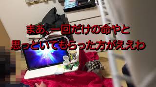盗撮！ゲームをしてるあの人の観察日記！第１８弾！