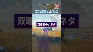 知って得しない双眼鏡の意外な使い方【モンハンワイルズ】 #モンハン