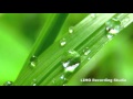 Invisible by Vibe Tracks