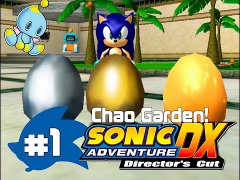 Sonic Adventure DX %100 Walkthrough - Chao Garden - Part 1