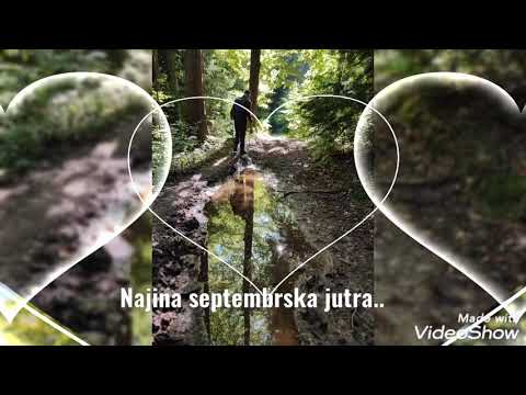 Ansambel Vandrovci.."Divja kri"