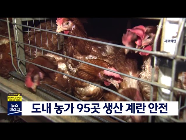 도내 농가 생산 계란 안전