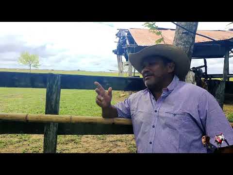 Mal Padrastro - Villamil Torres “El Azulejo del Llano"
