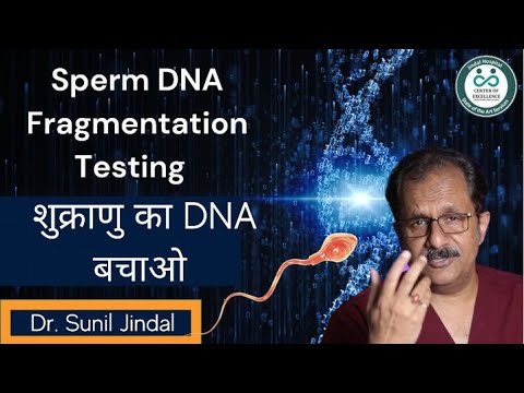 sperm dna fragmentation testing