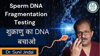 sperm dna fragmentation testing