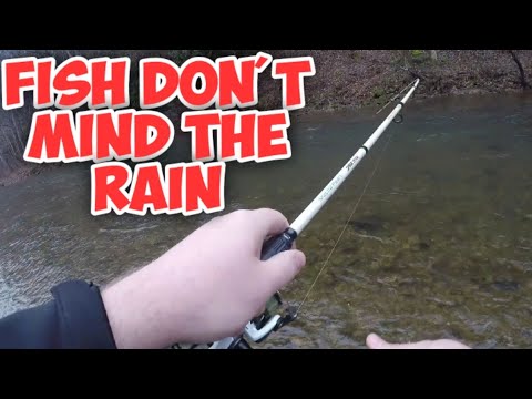 YouTube video about: Does rain affect trout fishing?