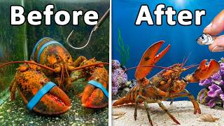 I Saved Every "About to be Eaten" Animal
