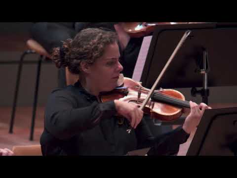 Dvořák: Serenade for Strings / Petrenko · Berliner Philharmoniker