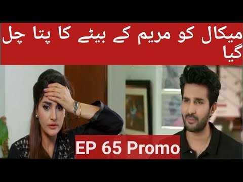 Bharosa Pyaar Tera Episode 65 Promo Teaser - Mikaal Ko Mariam Kay Betay Ka Pata Chal Gaya
