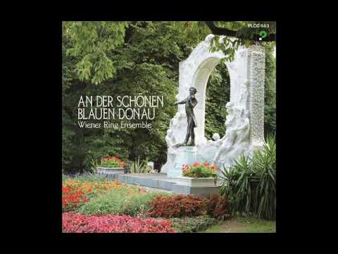 Wienner Ring Ensemble An Der Schonen Blauen Donau, etc