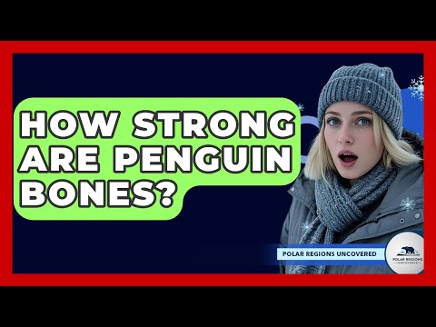 How Strong Are Penguin Bones? - Polar Regions Uncovered