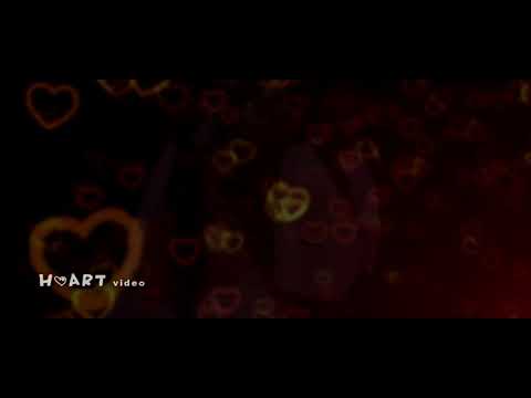 Svadobný Klip MAXI BOYS ❤️