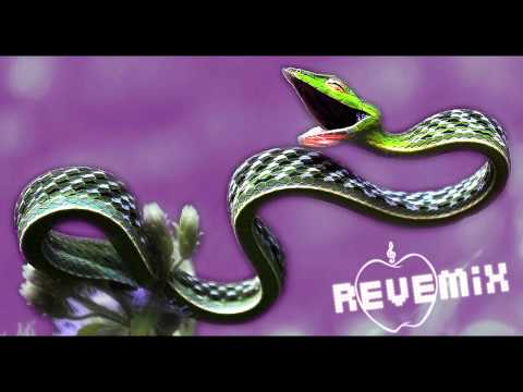 First State Ft. Sarah Howells - Seeing Stars (Vexare Remix)