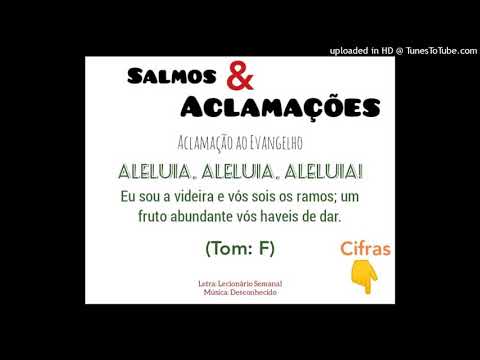 ALELUIA - EU SOU A VIDEIRA E VÓS SOIS OS RAMOS (Salmos e Aclamações) - CATÓLICA