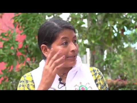 Perspectivas. Yaneth Carvajal Chilito. Retorno de la Lengua al Pueblo Yanacona