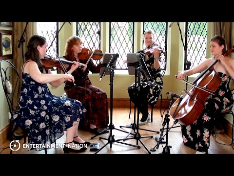 Cashmere Strings - Canon in D