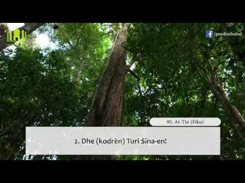 95. At Tin - Surja me titra Shqip (HD)