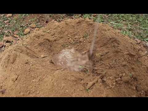 3 $$ 20 Days Survival And Build In The Rain Forest   Full Video