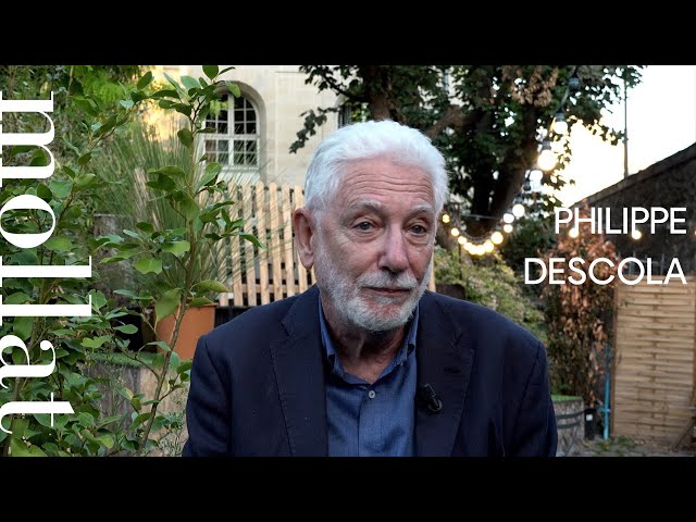 Vídeo relacionado con Les Formes du visible: Une anthropologie de la figuration (Points Essais)