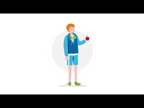 Die Bauchspeicheldrüse