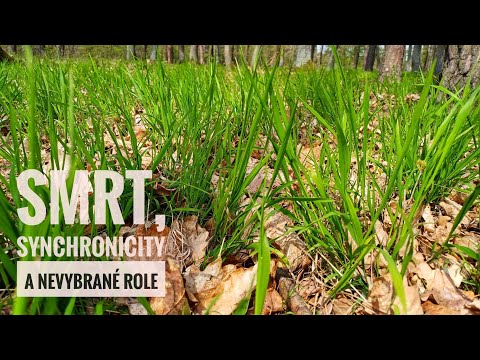 Smrt, synchronicity a nevybrané role