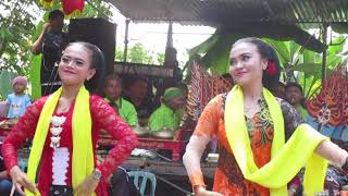 Download lagu Celeng Mogok Diah Lengger Panca Krida Budaya di Ciarus Wangon mp3 Download lagu Celeng Mogok Diah Lengger Panca Krida Budaya di Ciarus Wangon mp3