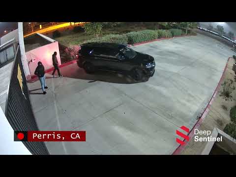 Masked Intruders Stopped at Closed Business Gate by Real-time Security | Deep Sentinel Interventions