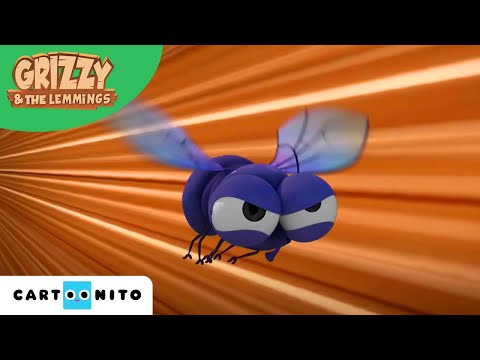Grizzy und die Lemminge | Schwirr ab! | Cartoonito