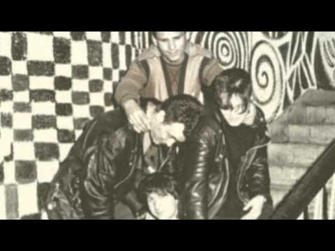 TRULA KOALICIJA - Idila debila