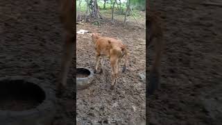 Melhor forma pra ficar rico rápido