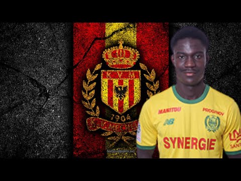 Élie Youan-Welcome To Hamburger SV