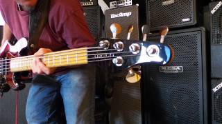Devon J5 Classic-24 - Boutique Bass Guitar Demo - Andy Irvine