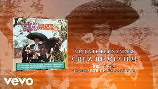 Vicente Fernández - Cruz de Olvido (Cover Audio)