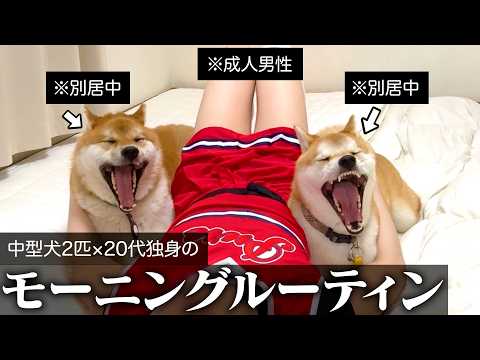 20代、別居、独身。毎日がガラッと変わった飼い主のリアルなモーニングルーティン※別居歴10ヶ月※