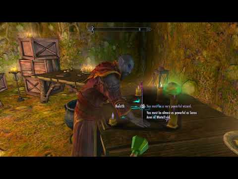 Master Neloth about Savos Aren. Skyrim Special Edition