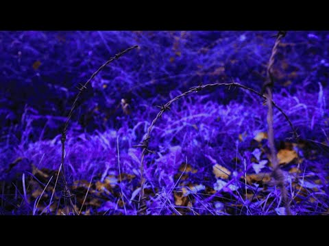 CRASHFACE - Murder Dream (Official Music Video)