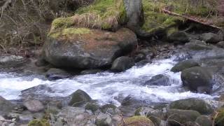 preview picture of video 'Demanovka River Nizke Tatry in Slovakia'