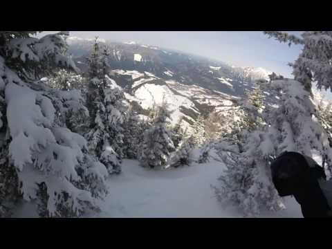 Powder, trees and ski route in Skiwelt Wilder Kaiser Sunny Days