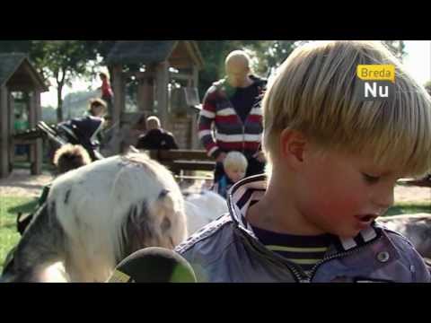 BredaNieuws - Feestmaal voor dieren kinderboerderij