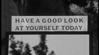 Black moth super rainbow-rollerdisco