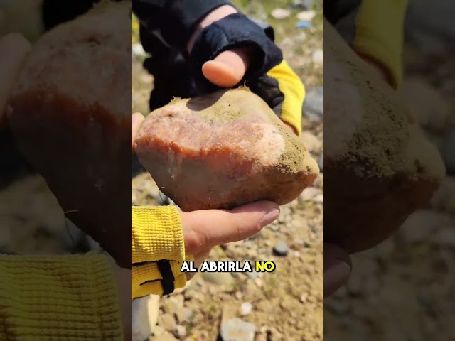 Vídeo relacionado con Piedras de agua de primera calidad, mezcla de base de agua de piedras preciosas, piedras en bruto 100% naturales, amatista, cuarzo rosa y cristal de roca, 300 g Lebensquelle Plus