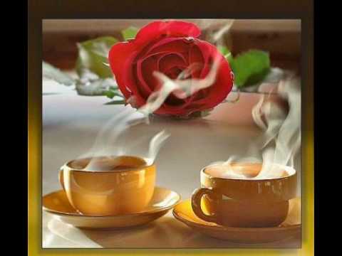 download lagu mp3 mp4 Yo Quiero Ser Tu Amigo Cesar Banana, download lagu Yo Quiero Ser Tu Amigo Cesar Banana gratis, unduh video klip Yo Quiero Ser Tu Amigo Cesar Banana