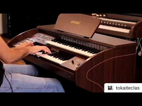 Órgão Tokai D2 Classic