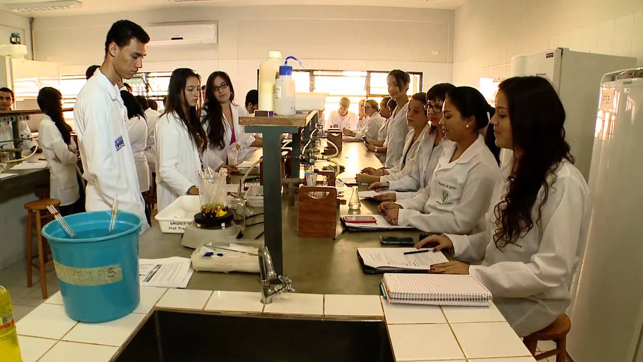 ESPECIAL PALOTINA - MEDICINA VETERINÁRIA