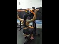 Puxador Vertical Unilateral