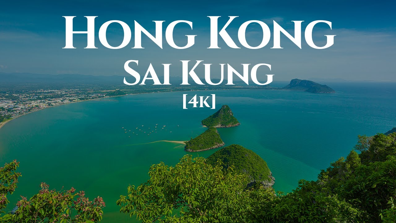 See colourful fish and clear water around the beaches of Sharp Island