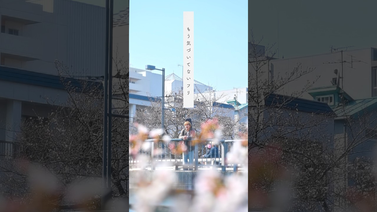 こんな経験、ある人に届いてほしい🌸#アブソ  #春ソング #桜