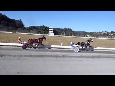 1. arts black. tp 2.02.04. 2.mancum. 2.03.27. 3.veneciano 2.04.05.