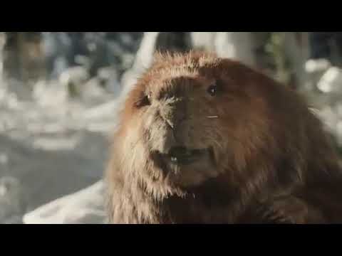 Dinty Moore Beef Stew TV Commercial, Stewski iSpottv